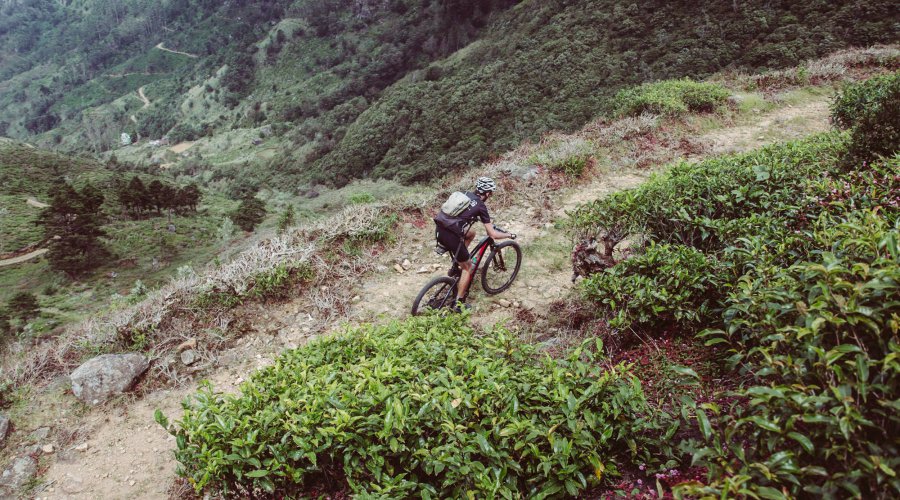 Cycling