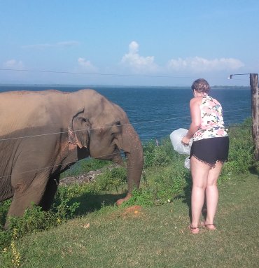 Wild Life Tours