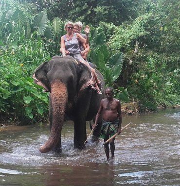 Wild Life Tours