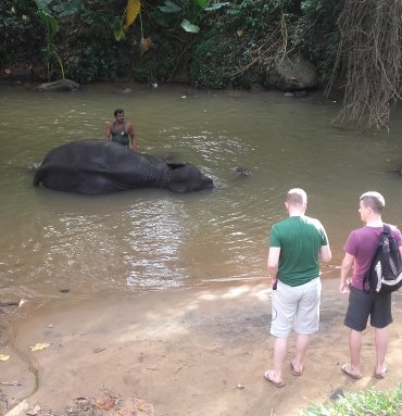Wild Life Tours