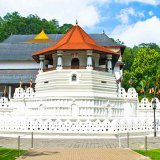 Kandy One Day Tour